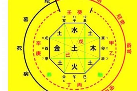 喜神是金|八字中喜神忌神对照表 八字算命喜用神速查表